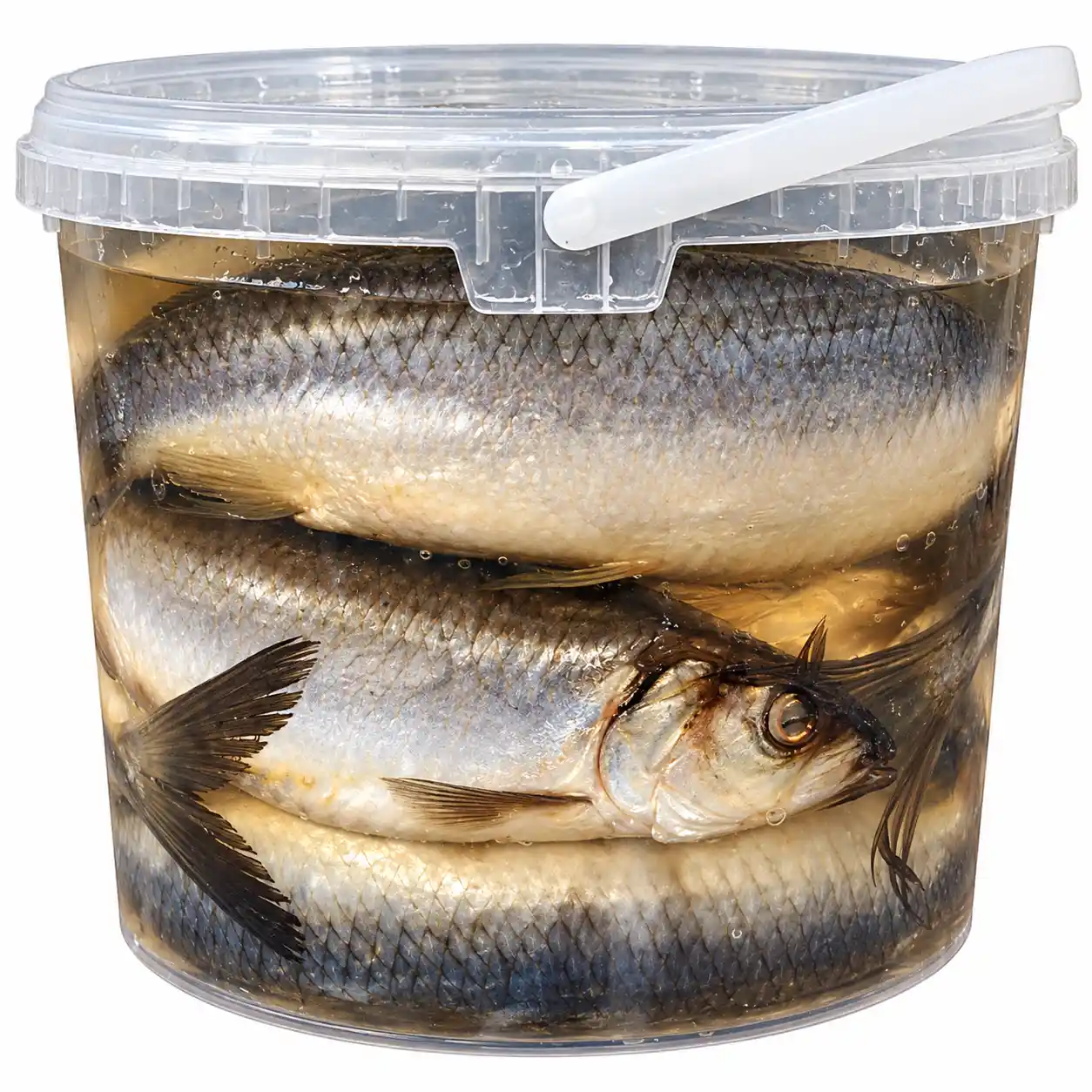Oniors Slěd malosláný v nálevu 300–400, 4kg/5l