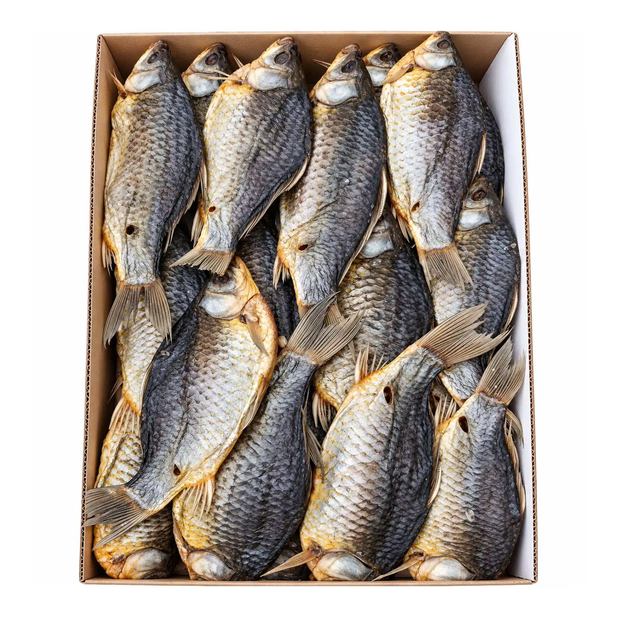 EFT Karas obecný „Premium“ sušený, s jikrami, celý, nevykuchaný, bez šupin, hluboce zmrazený, 10 kg
