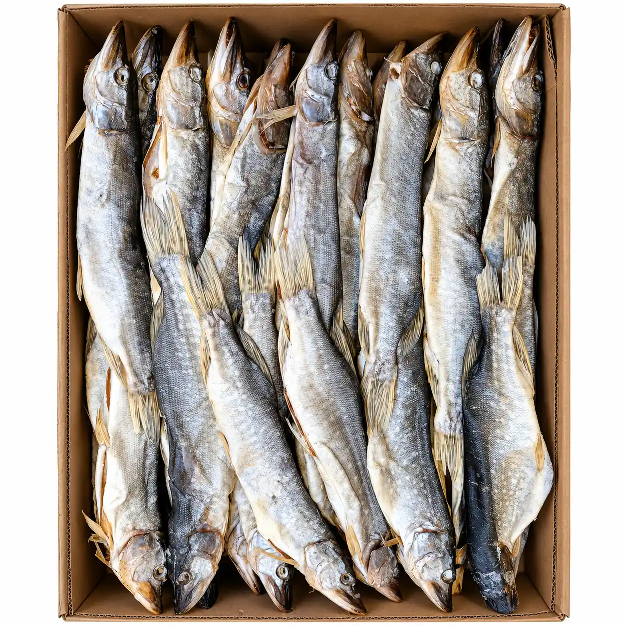 EFT Štika sušená, vykuchaná, s hlavou, hluboce zmrazená, 7 kg